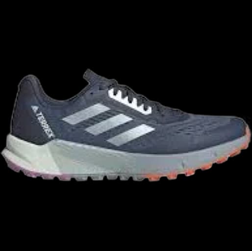 Adidas Terrex Agravic Flow 2 running shoe
