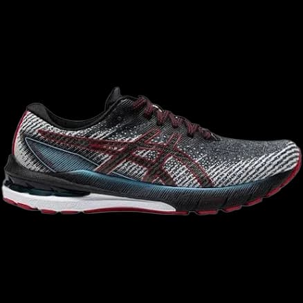 Asics Gt 2000 10 running shoe