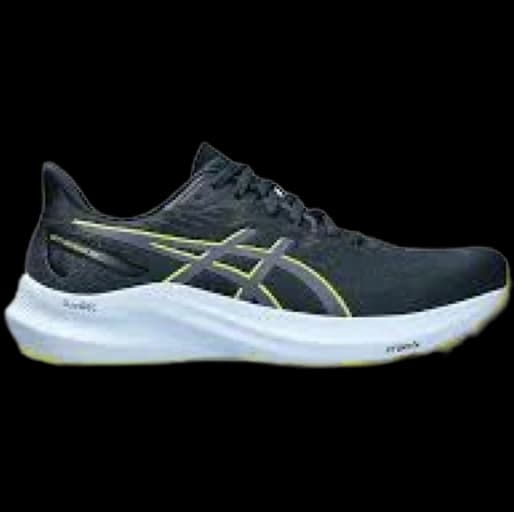 Asics Gt 2000 12 running shoe