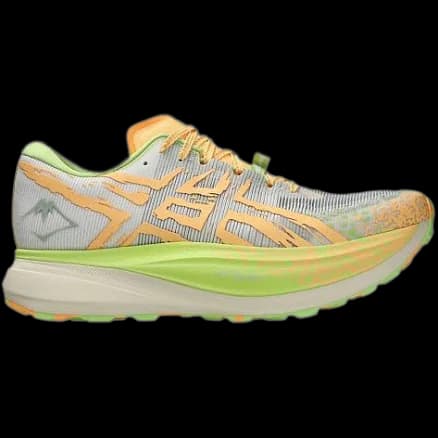 Asics Metafuji Trail running shoe