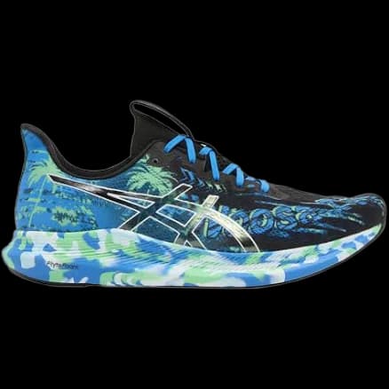 Asics Noosa Tri 14 running shoe