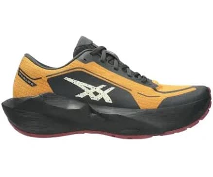 Asics Novablast 6 Gtx running shoe
