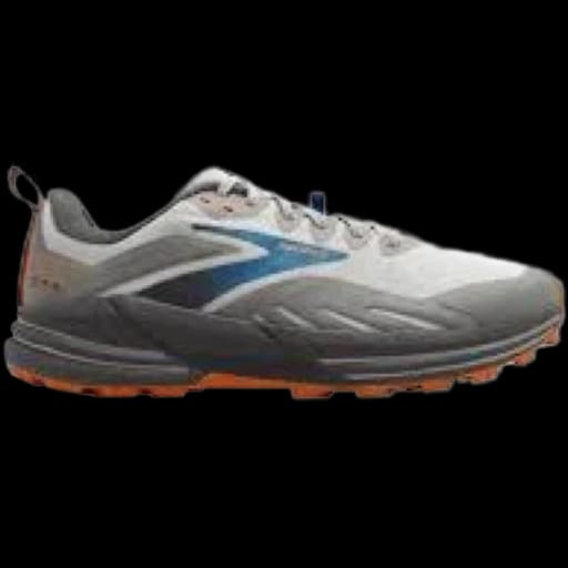 Brooks Cascadia 16 running shoe