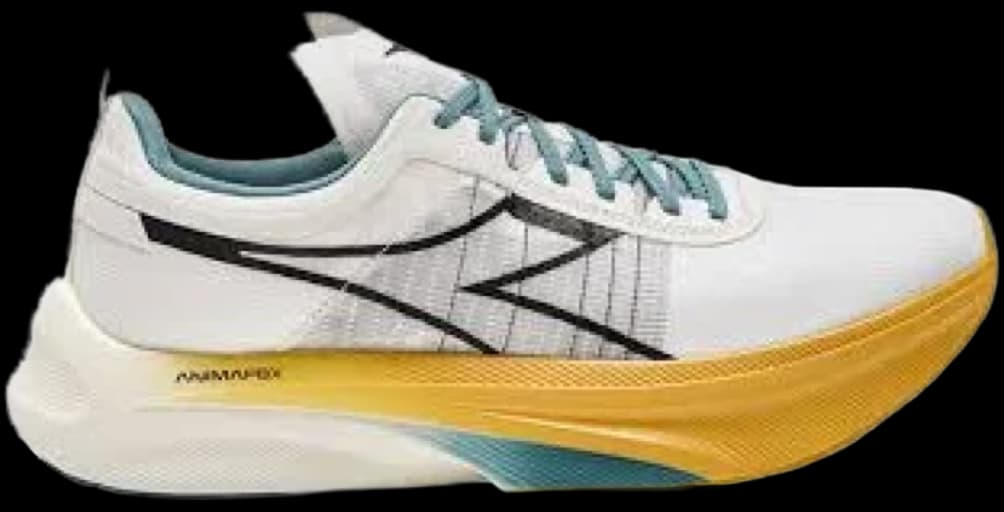 Diadora Gara Carbon running shoe