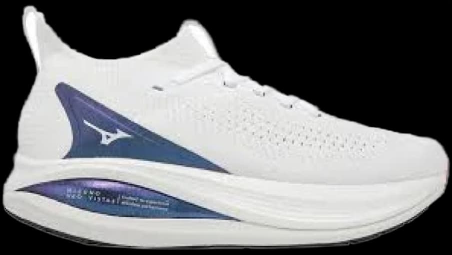 Mizuno Neo Vista 2 running shoe