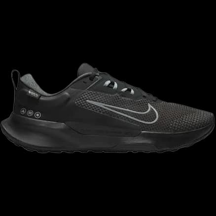 Nike Juniper Trail 2 Gtx running shoe