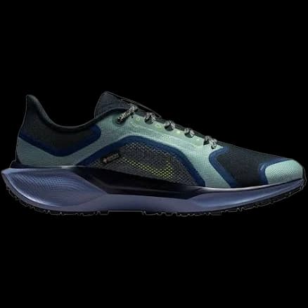 Nike Pegasus 41 Gtx running shoe