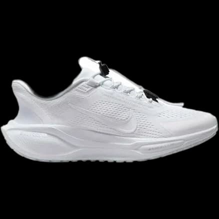 Nike Pegasus Easyon running shoe