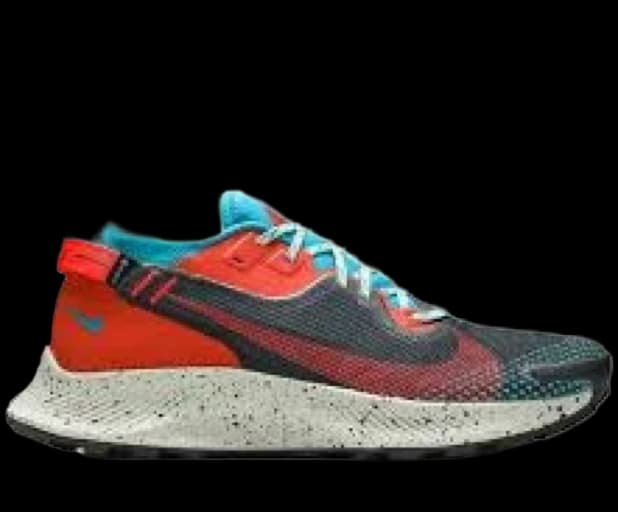Nike Pegasus Trail 2 running shoe