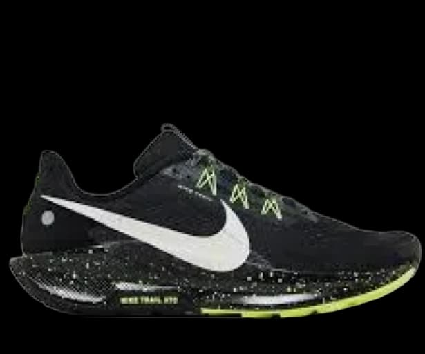 Nike Pegasus Trail 5 running shoe