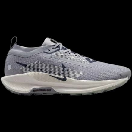 Nike Pegasus Trail 5 Gtx running shoe