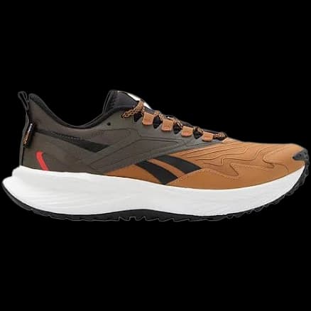 Reebok Floatride Energy 5 running shoe