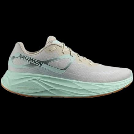 Salomon Aero Glide running shoe