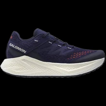 Salomon Aero Glide 3 Grvl running shoe