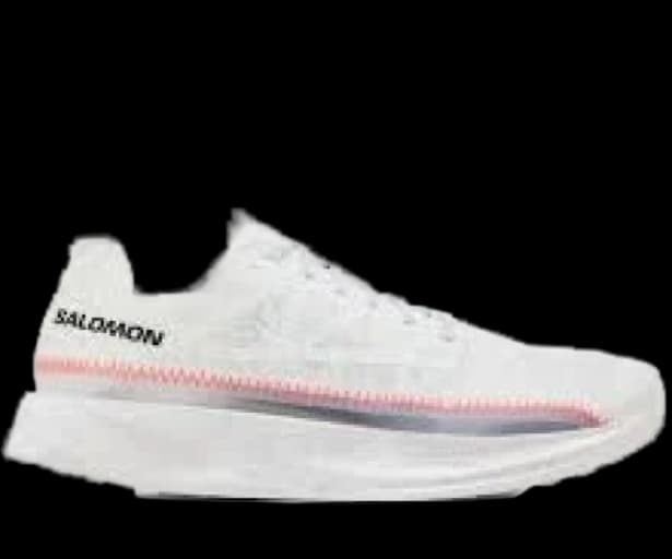 Salomon Index 03 running shoe