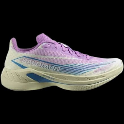 Salomon Spectur 2 running shoe