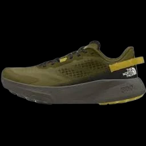 The North Face Altamesa 300 running shoe